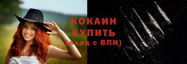 молекула духа Усинск