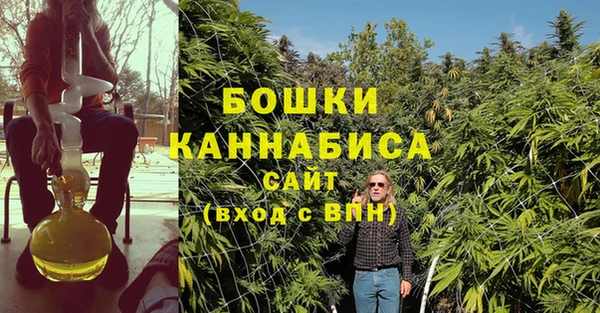 дурь Володарск