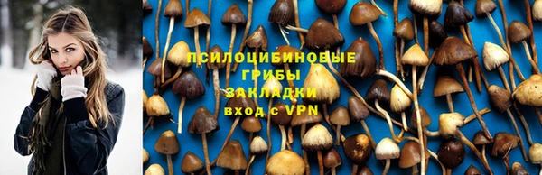 дурь Володарск