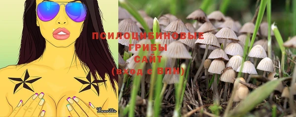 mdpv Волосово