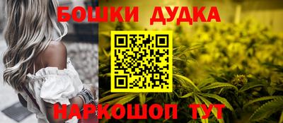 крисы Моздок