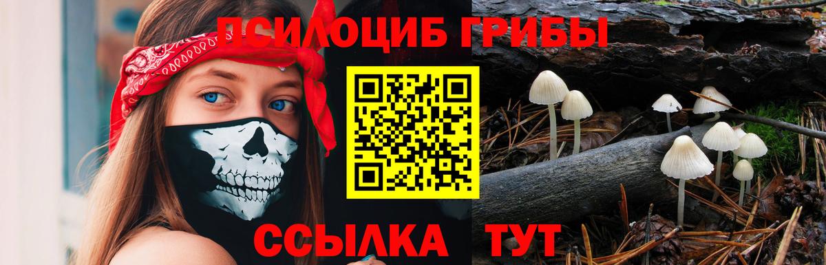 Галлюциногенные грибы GOLDEN TEACHER  Вход с VPN  Мончегорск  где продают наркотики  Галлюциногенные грибы мухоморы 